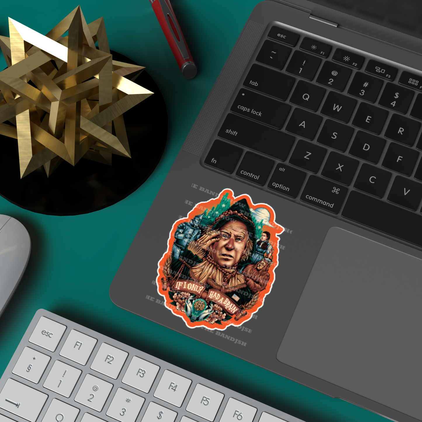 Vinyl Sticker, If I only Had a Brain