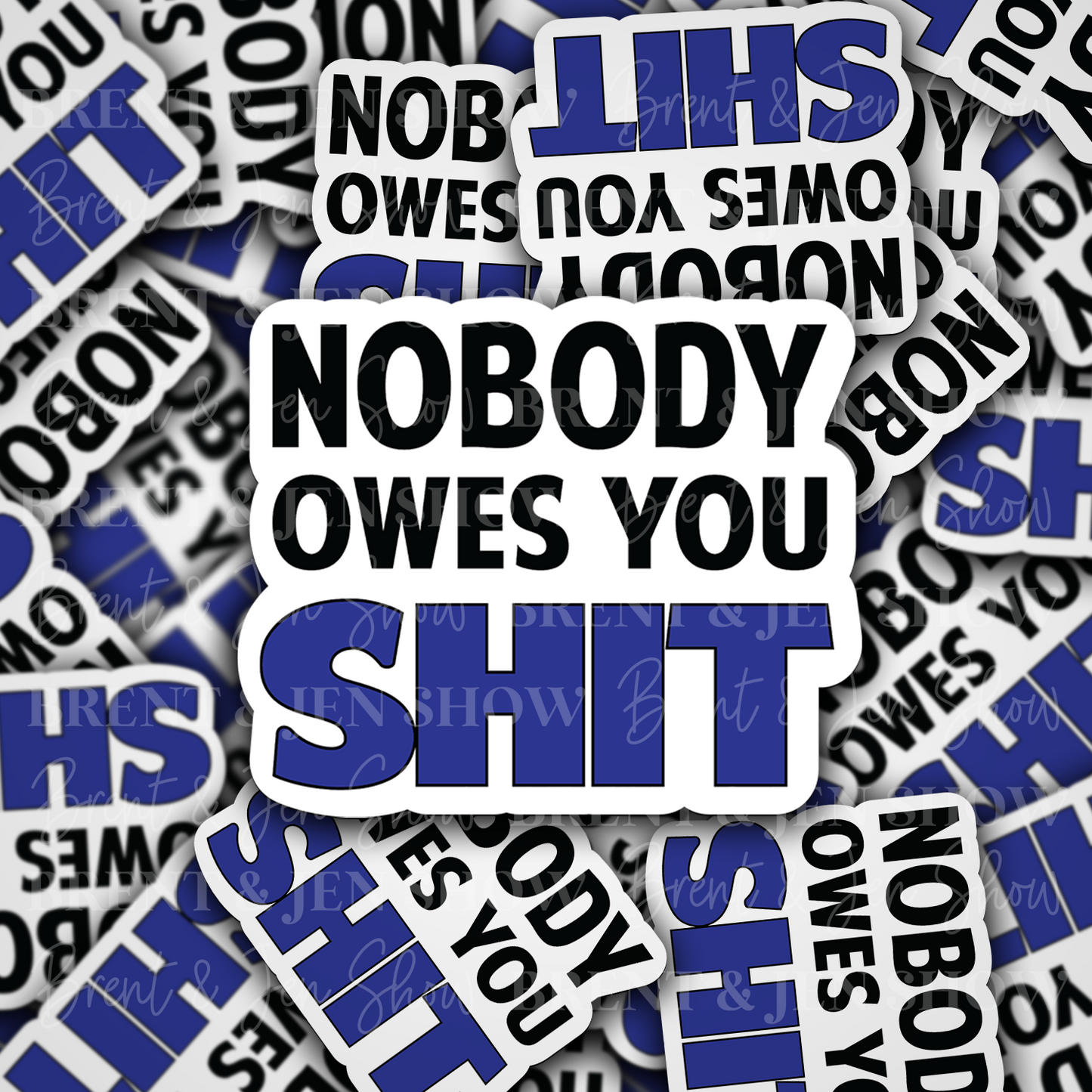 Nobody Owes You Shit Vinyl Sticker