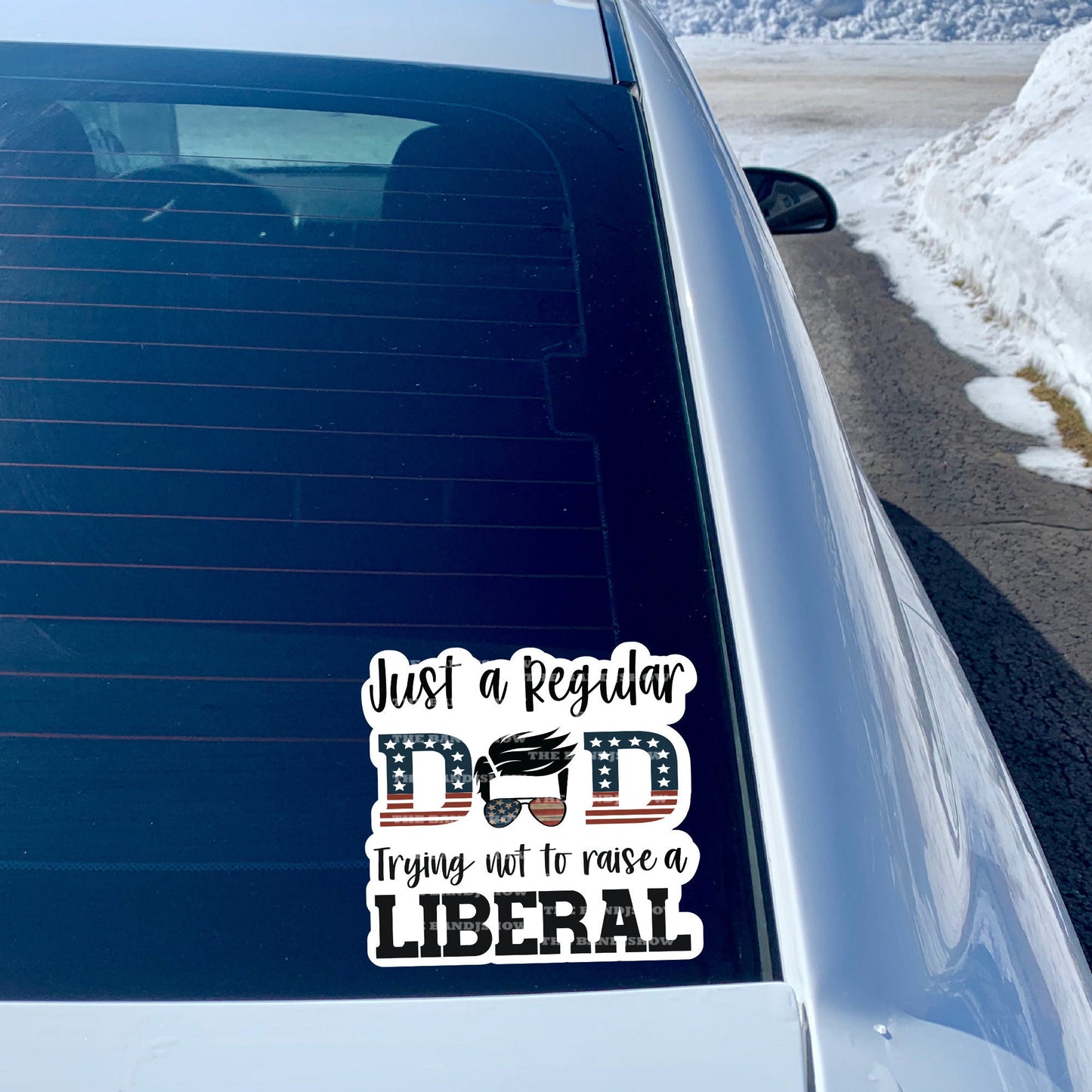 Just A Regular Dad Trying Not to Raise a Liberal - Decal - Vinyl Sticker - Decal - Tumblers, Windows, Laptops etc.