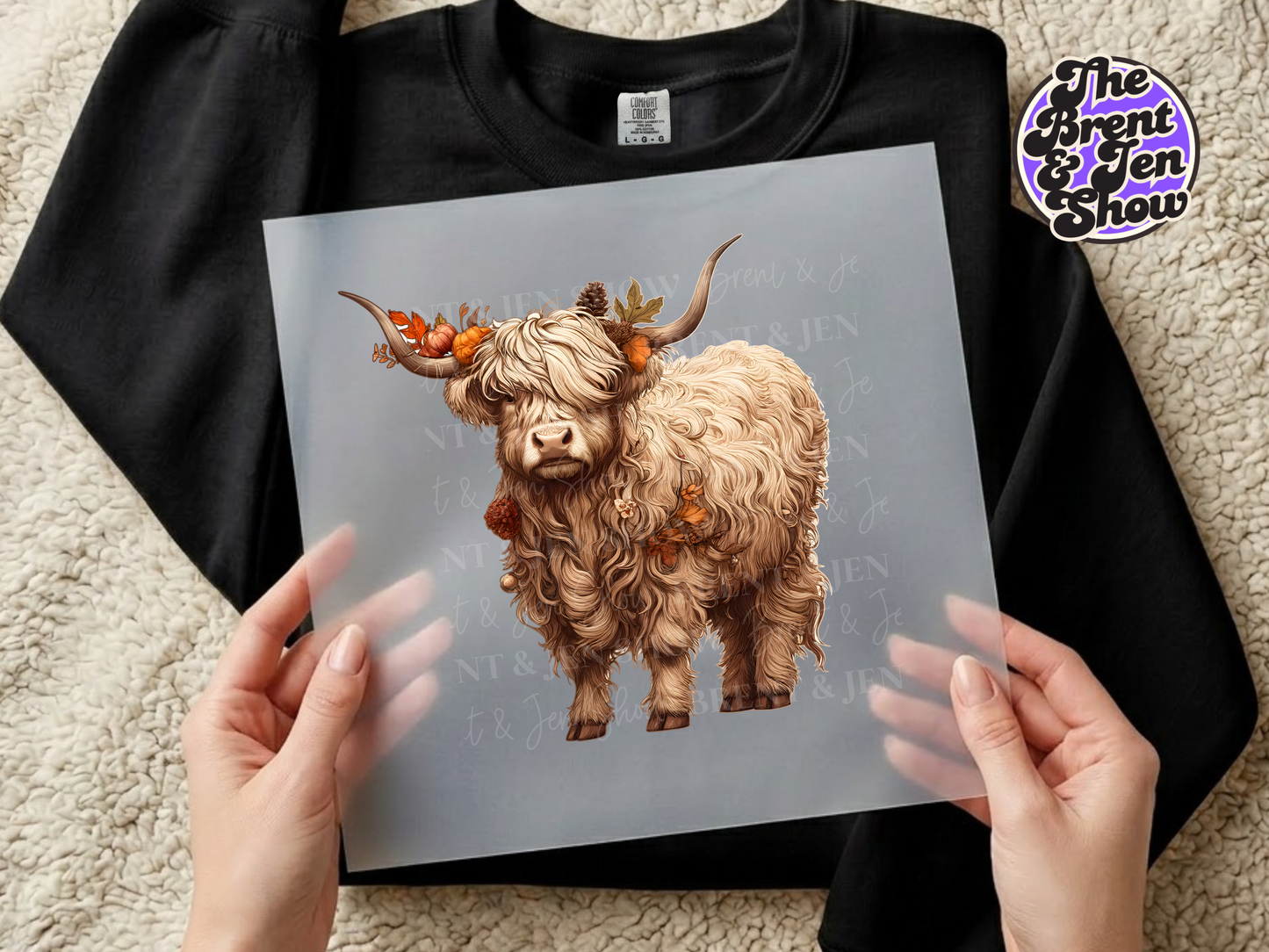 Highland Cow Transfer DTF/Sublimation