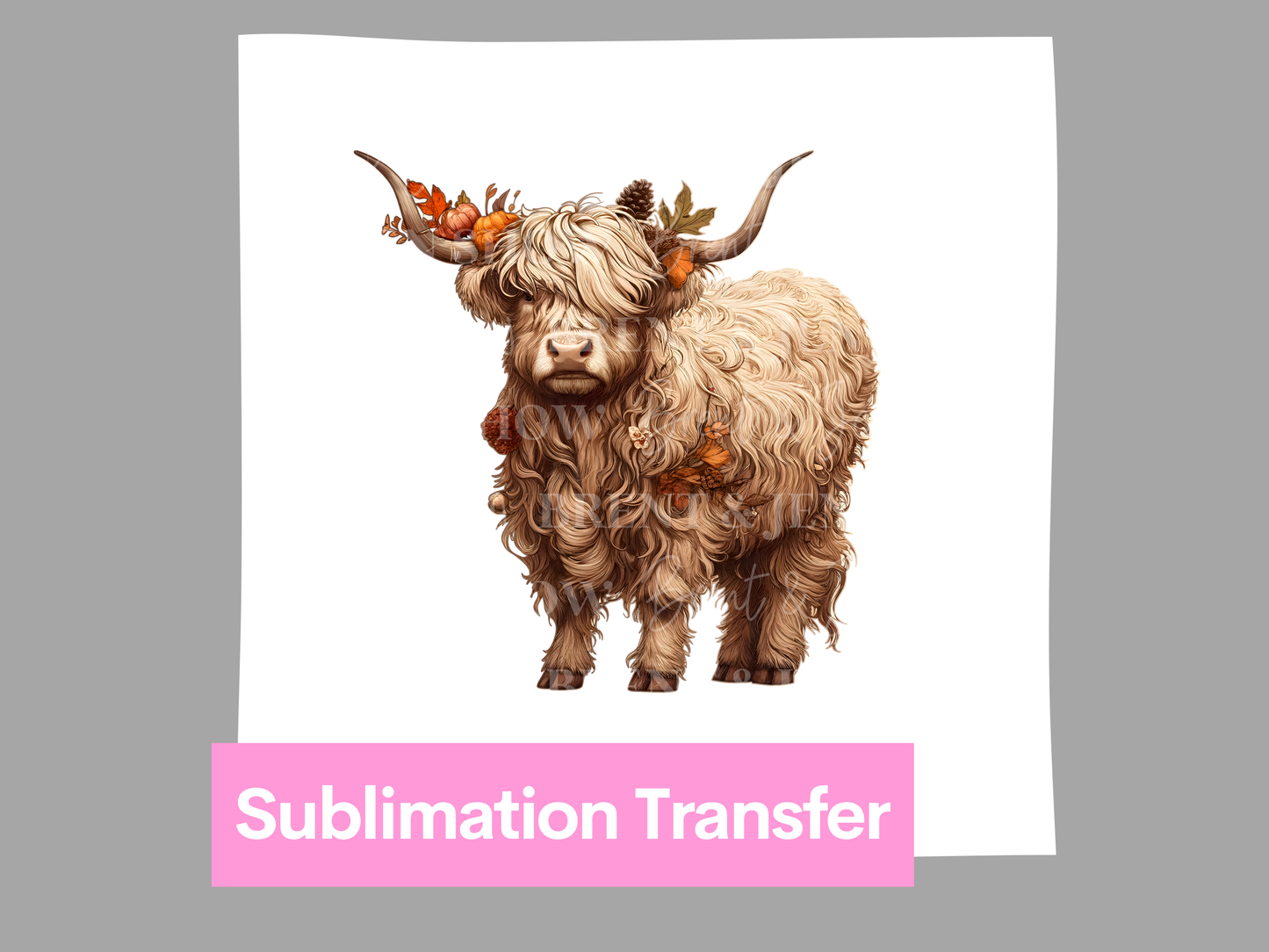 Highland Cow Transfer DTF/Sublimation