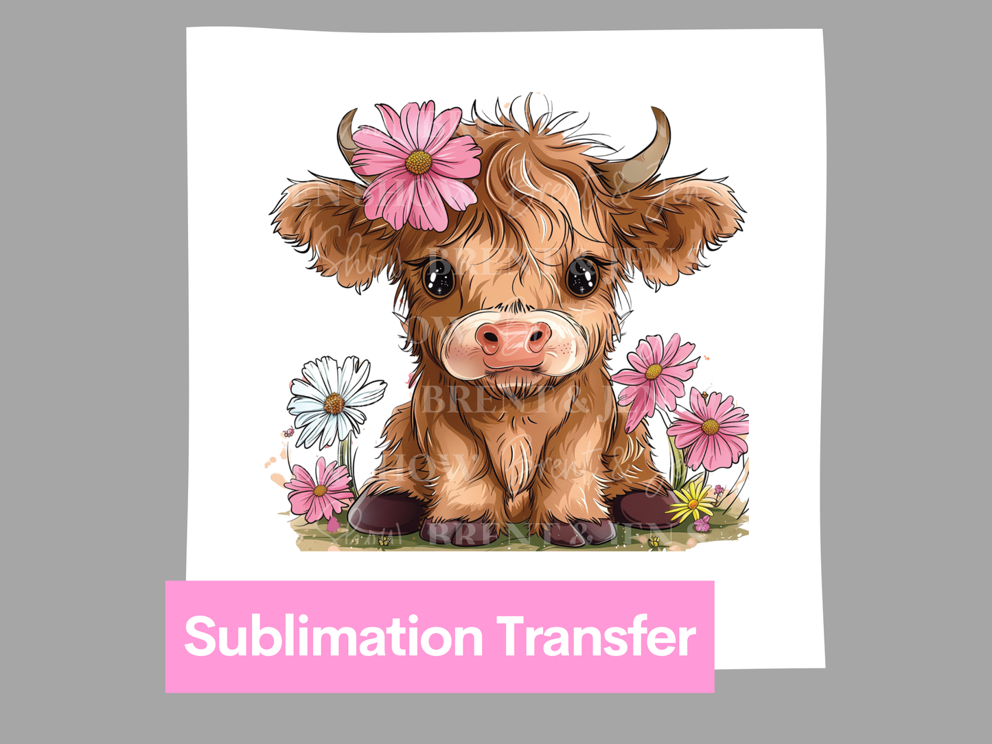 Boho Highland Cow Transfer DTF/Sublimation