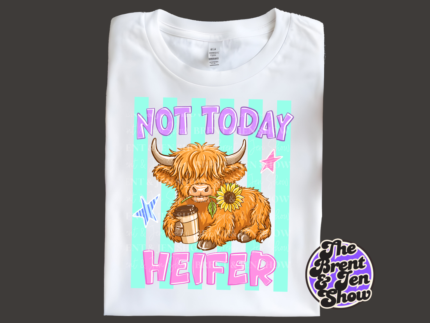 Not Today Heifer, Highland Cow T-Shirt