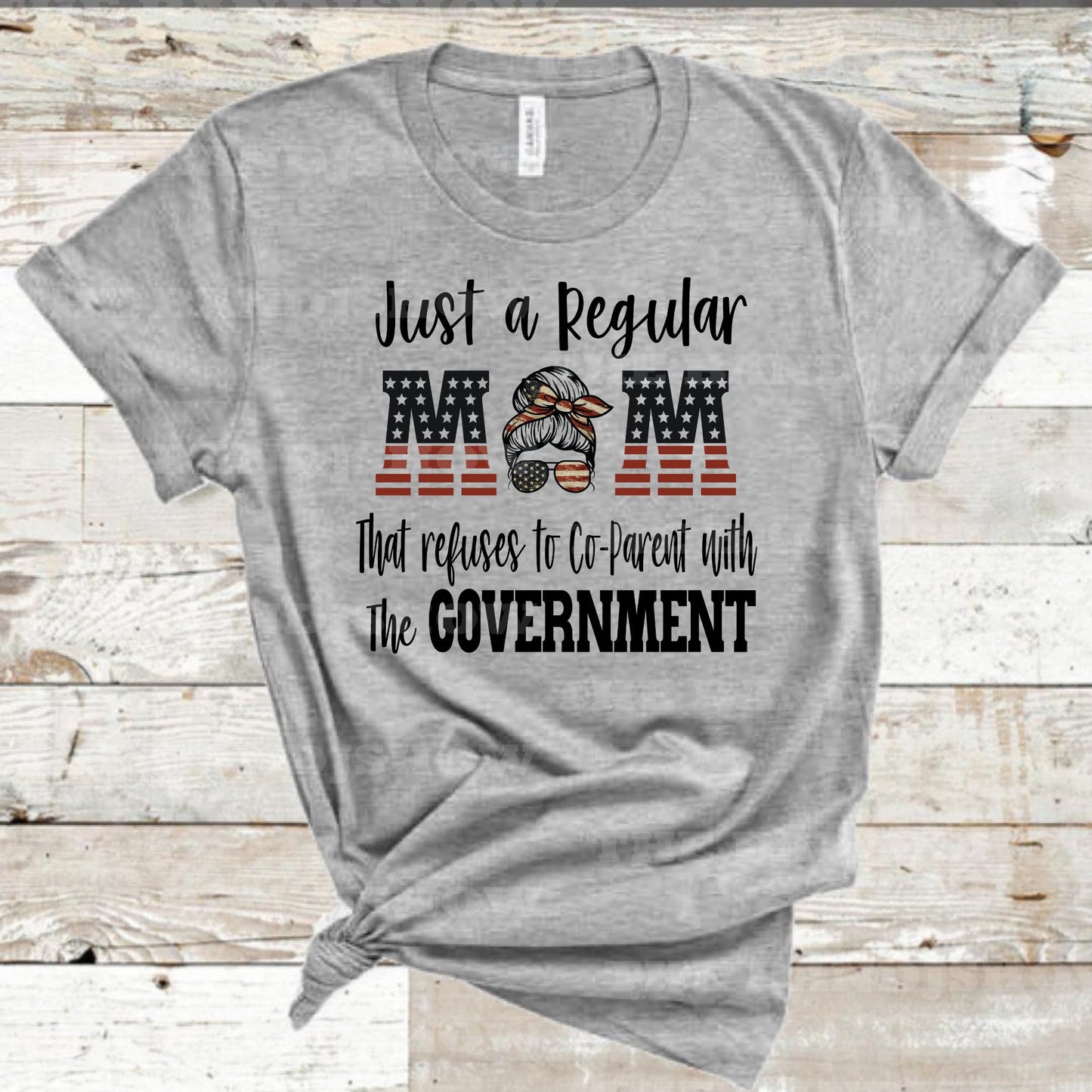 Just a Regular Mom Not CoParenting With the Government