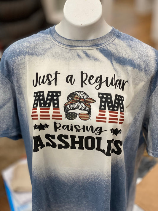 Just a Regular Mom Raising Assholes