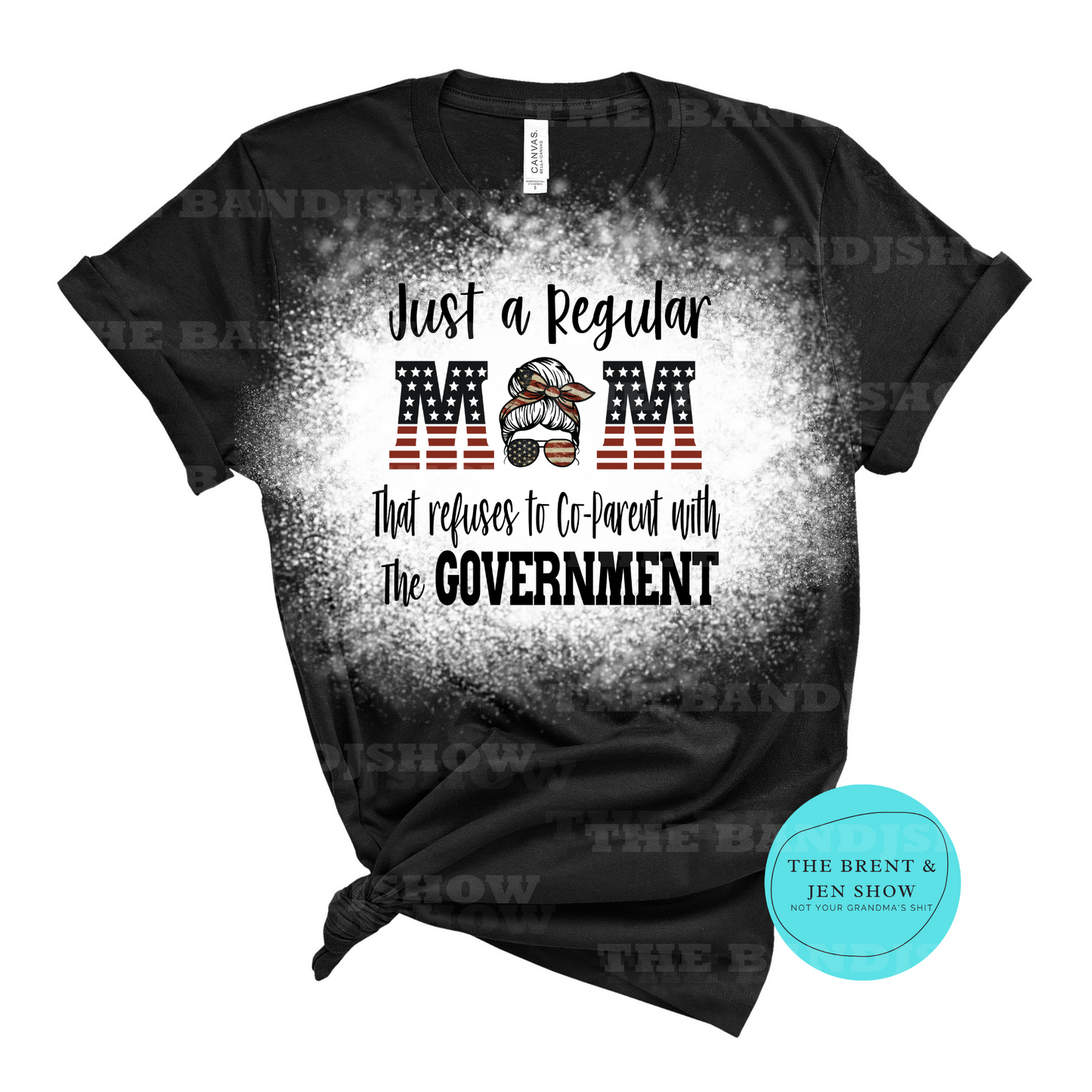 Just a Regular Mom Not CoParenting With the Government