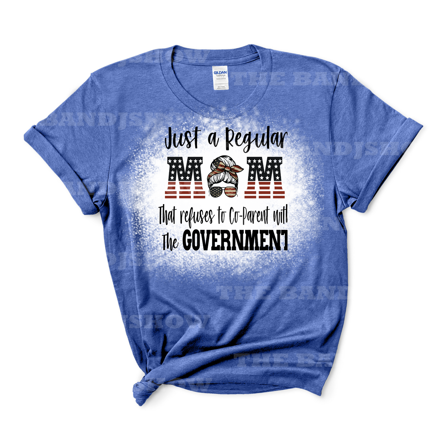 Just a Regular Mom Not CoParenting With the Government